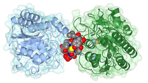 Synthetic Biology for the Production of Biobased Molecules