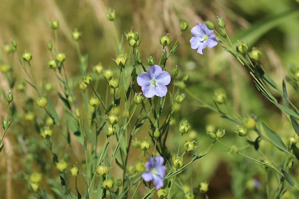 Round-up of non-food crop activity in the UK: construction materials 